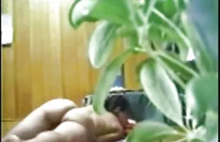XXX నోటితో మొడ్ఢ చీకడం బ్రహ్మాండమైన