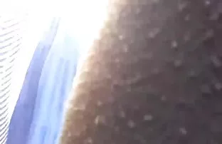XXX ఇబ్బంది పెట్టాడు ద్వారా రంధ్రం పెంటీ హౌస్