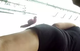 XXX ఇష్టం ఒక మంచి సభ్యుడు
